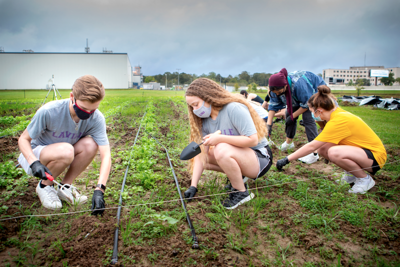 LSU Colleges and Schools Agriculture Ag Students Planting Crops