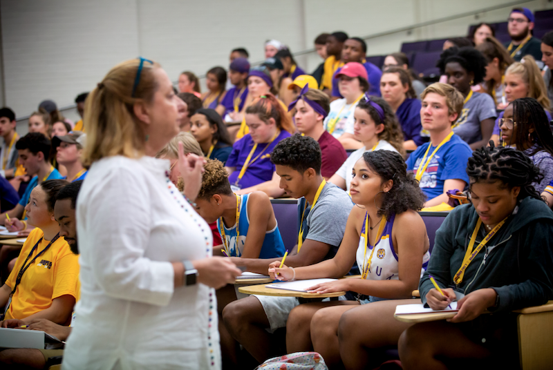 LSU Colleges and Schools UCFY