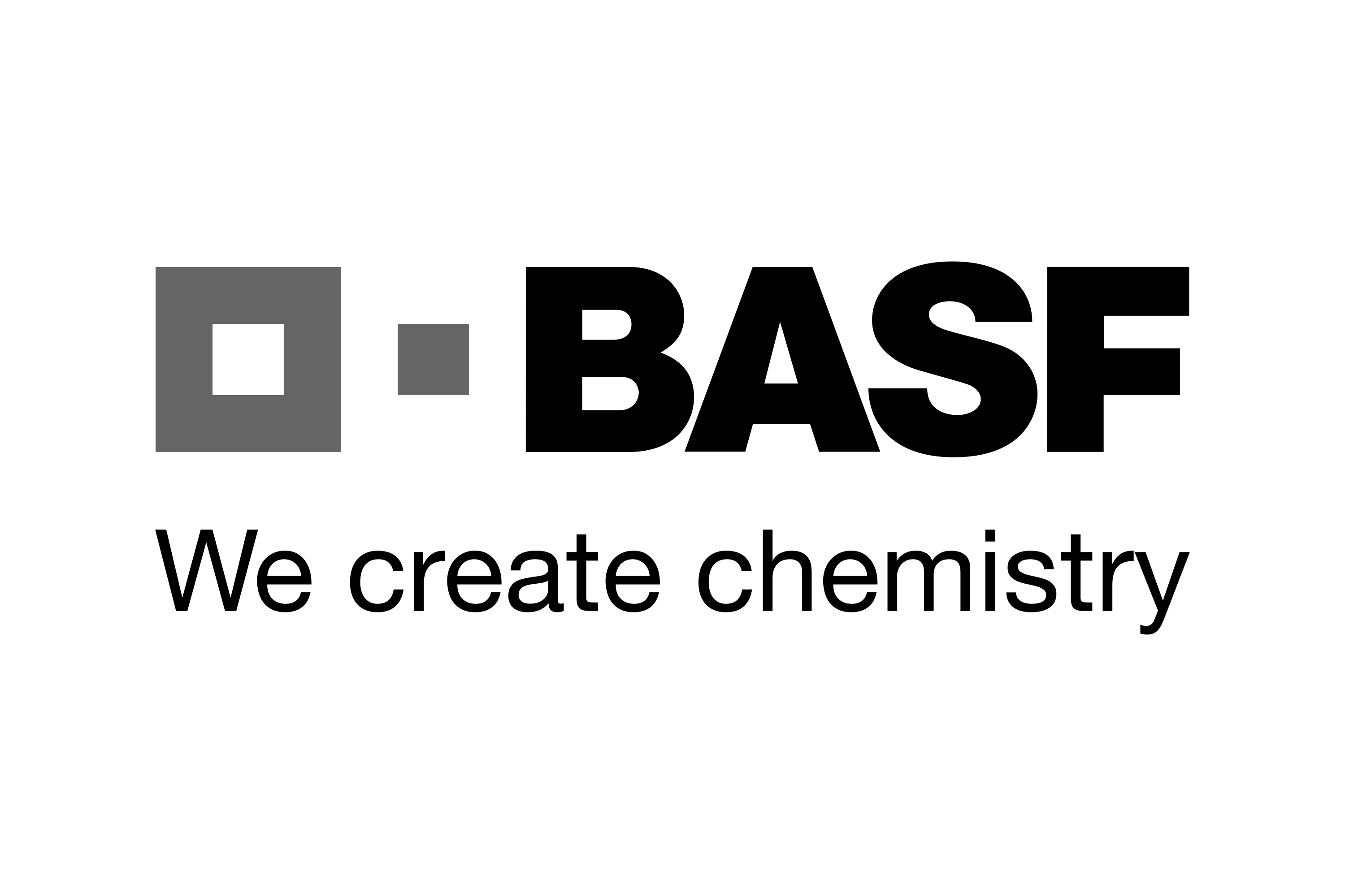BASF Logo