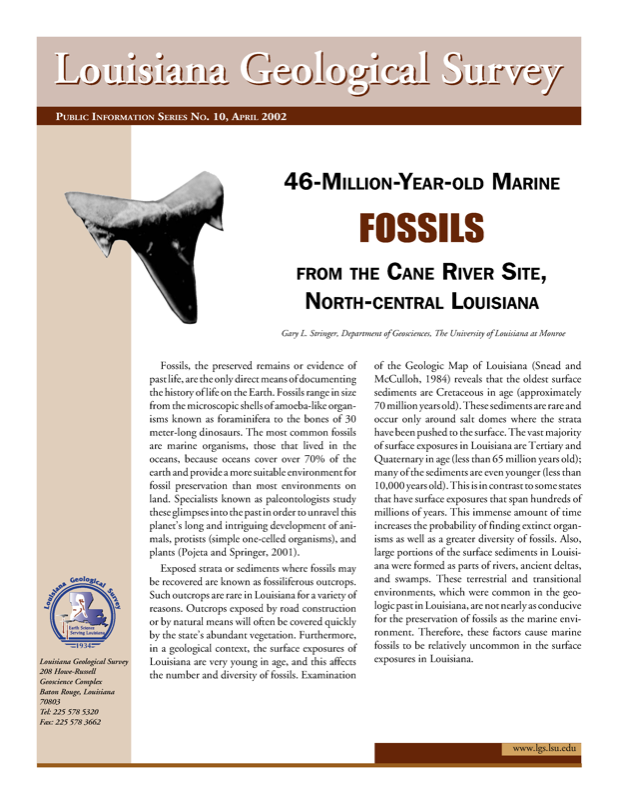 46-Million-Year-Old Fossils from the Cane River Site, North-Central Louisiana, 2002, 7 pp.