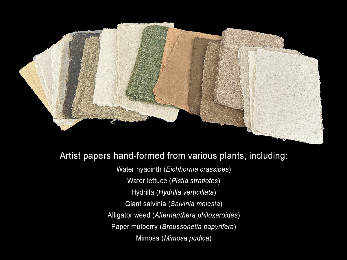 paper