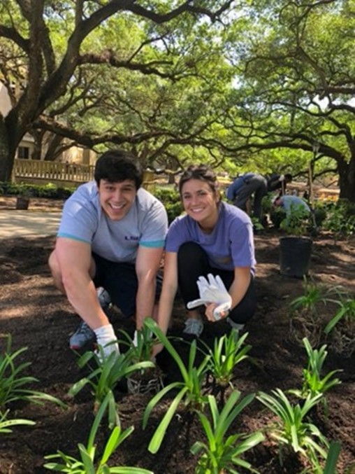 people planting plants